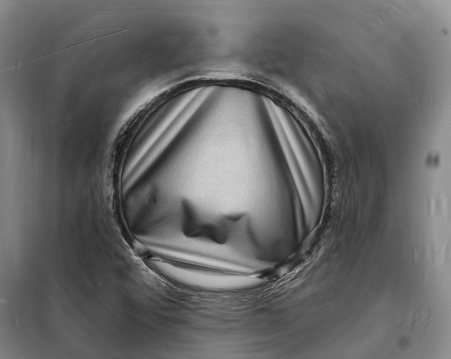 X0000098231456200805151329