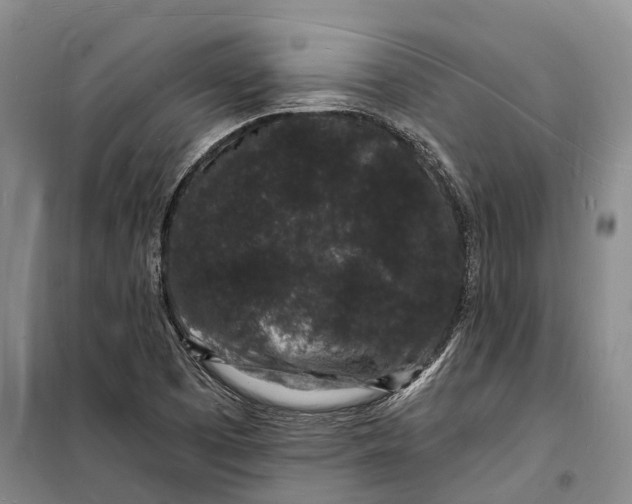 X0000098231457200805151329