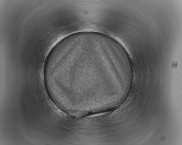 X0000098231460200805151329