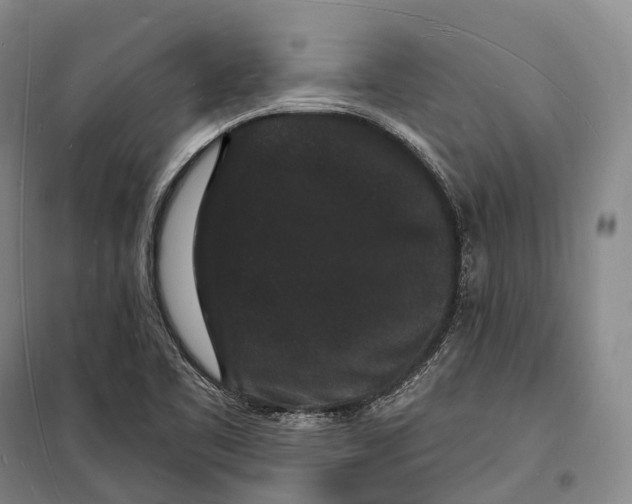 X0000098231461200805151329