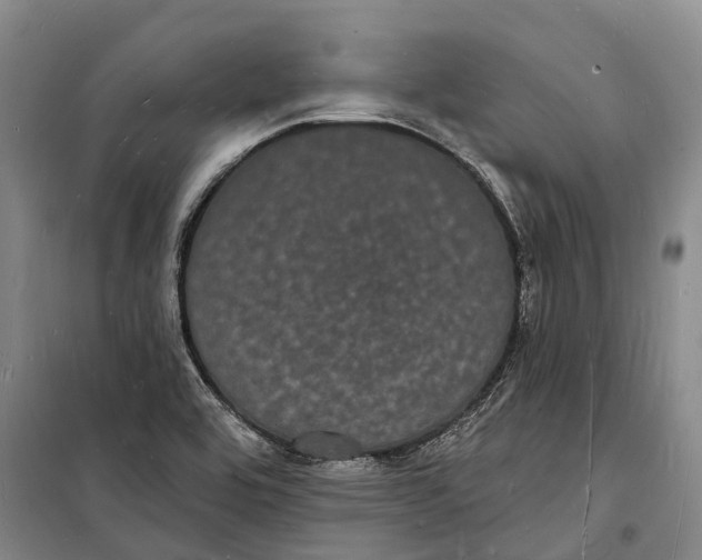 X0000098231464200805151329