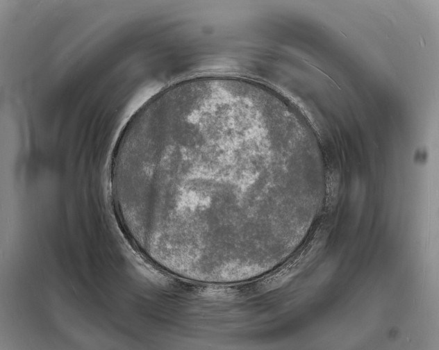 X0000098231466200805151329