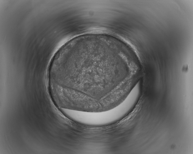 X0000098231467200805151329