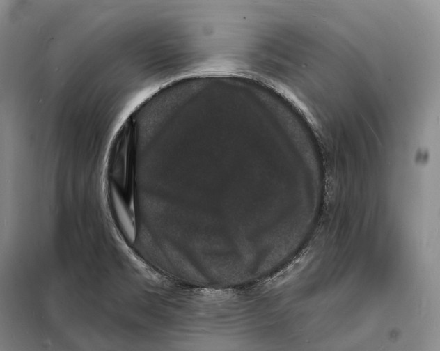 X0000098231469200805151329