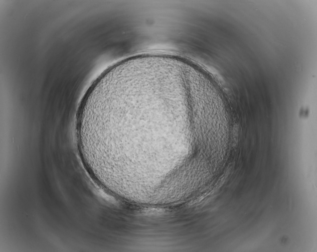 X0000098231470200805151329