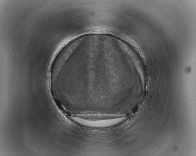 X0000098231472200805151329