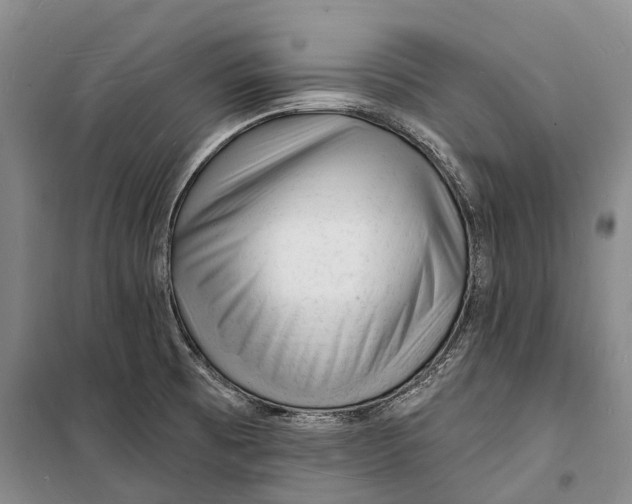 X0000098231473200805151329