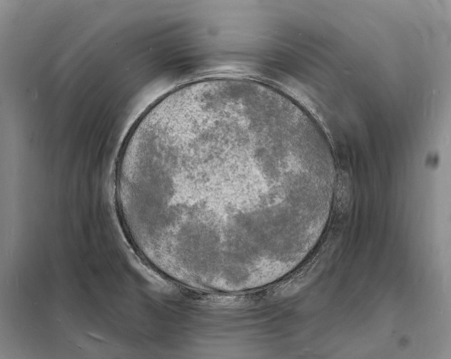 X0000098231474200805151329