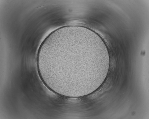 X0000098231478200805151329