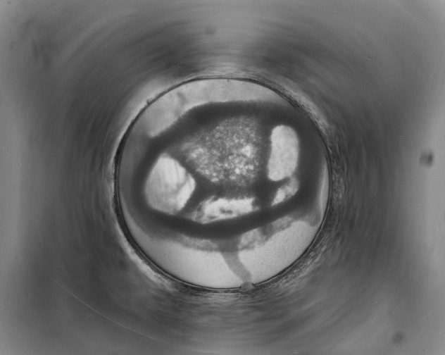 X0000098231479200805151329