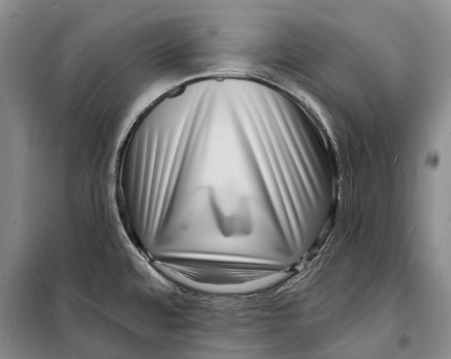 X0000098231480200805151329