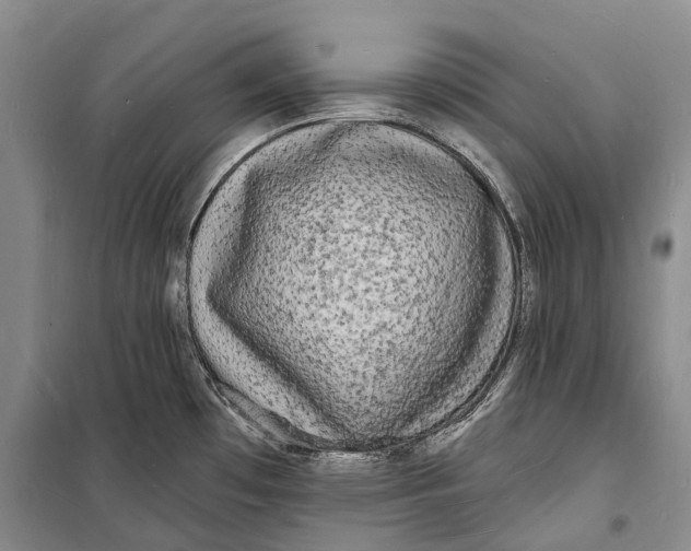 X0000098231481200805151329