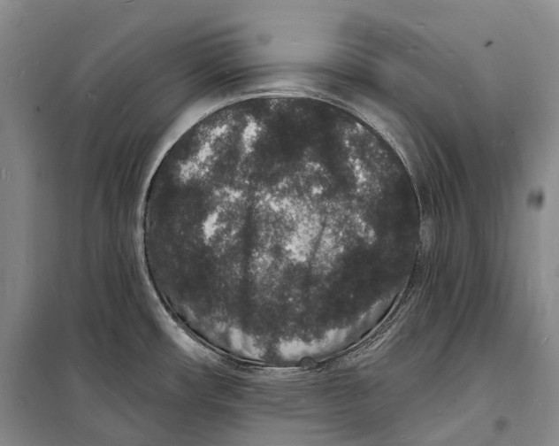 X0000098231482200805151329