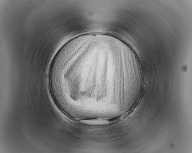 X0000098231483200805151329