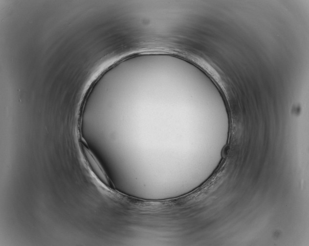 X0000098231485200805151329