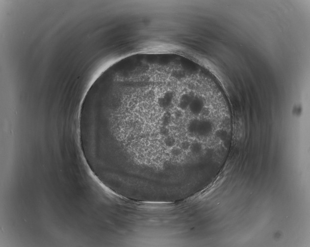 X0000098231487200805151329