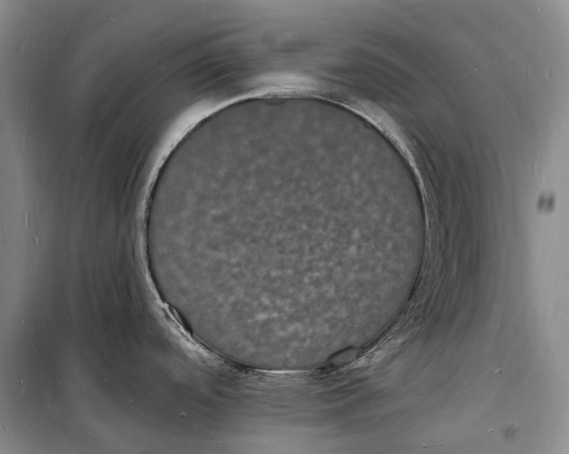 X0000098231488200805151329