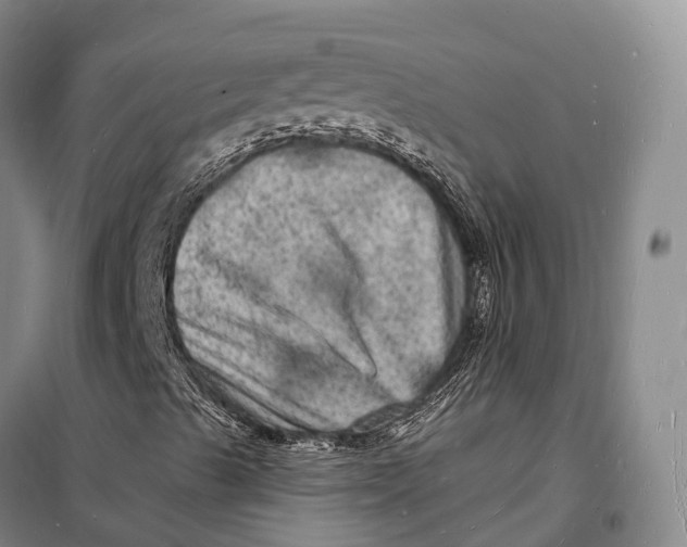 X0000098231489200805151328