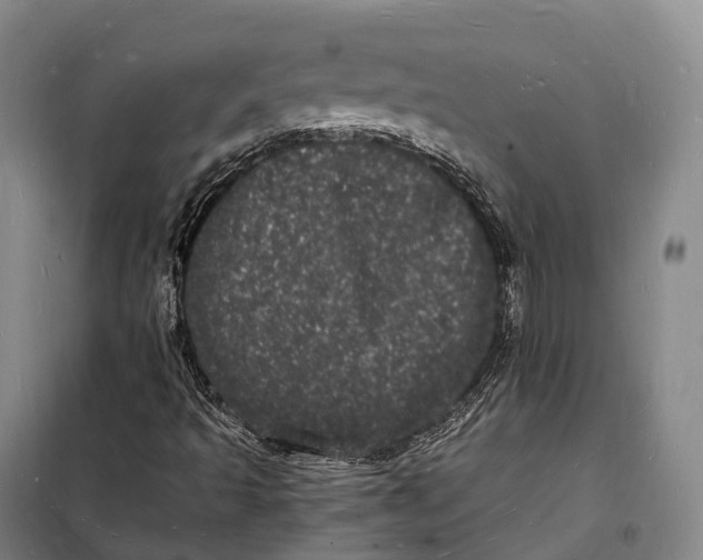 X0000098231493200805151328