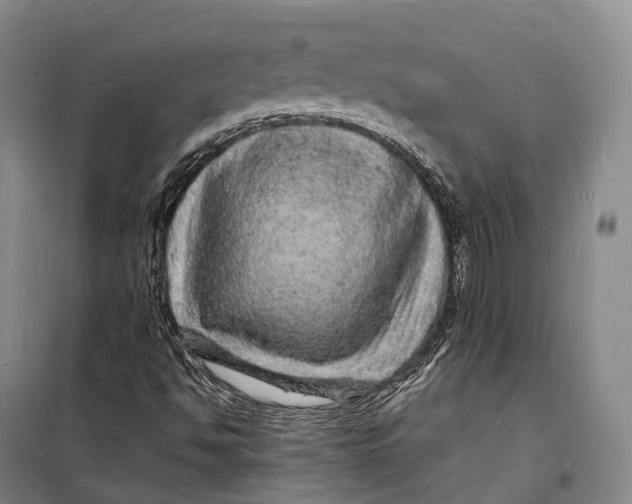 X0000098231494200805151328