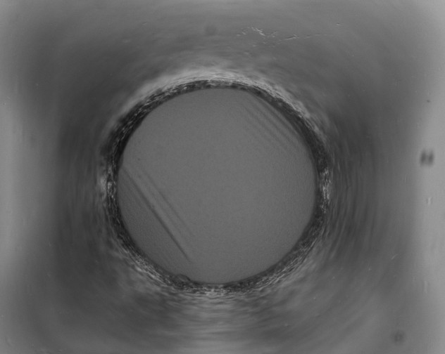 X0000098231495200805151328