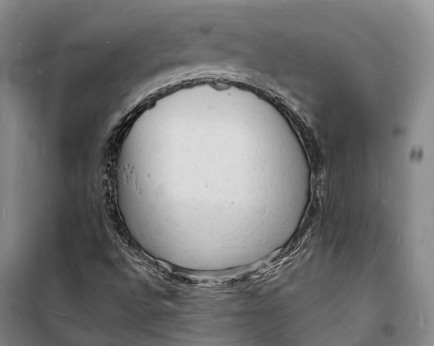 X0000098231496200805151328