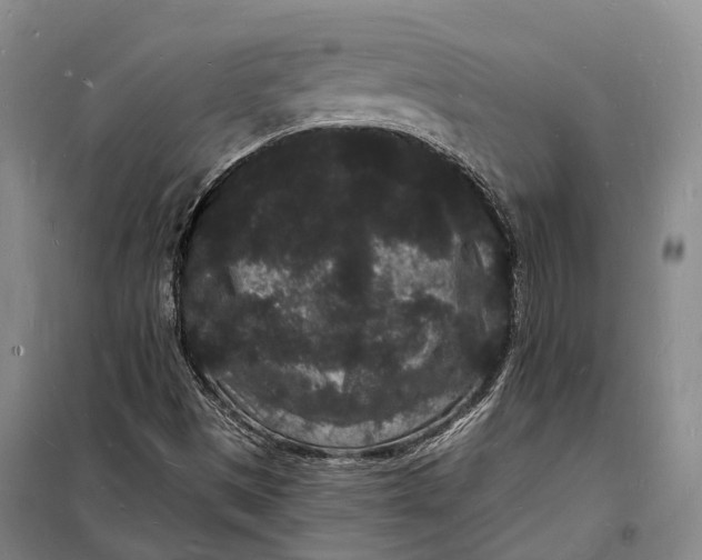 X0000098231497200805151328