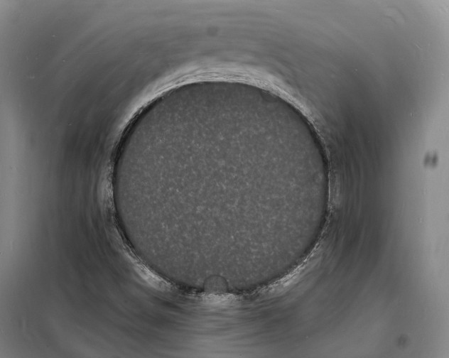 X0000098231498200805151328