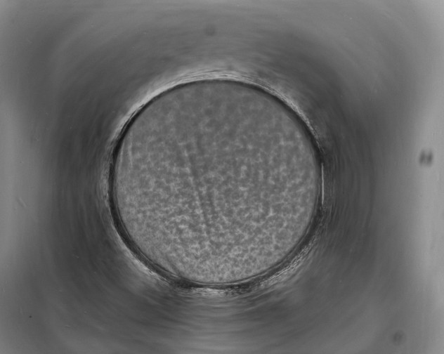 X0000098231500200805151328