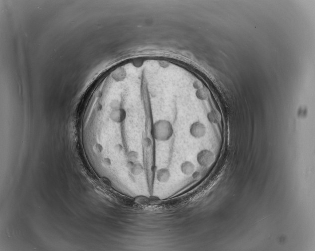 X0000098231501200805151328