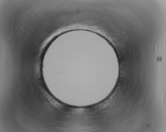 X0000098231502200805151328