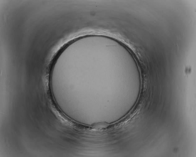 X0000098231503200805151328