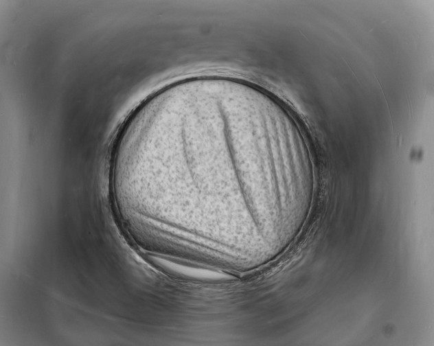 X0000098231504200805151328