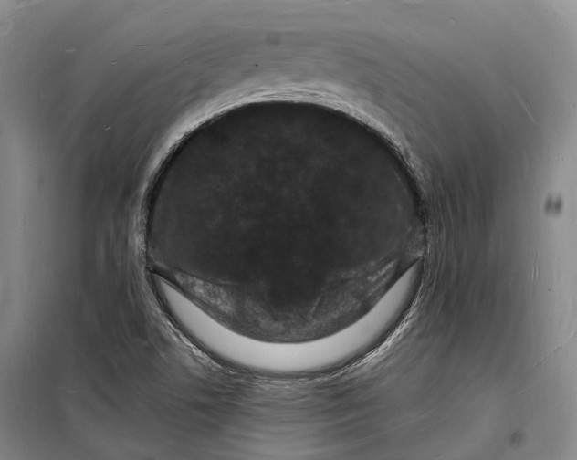 X0000098231506200805151328