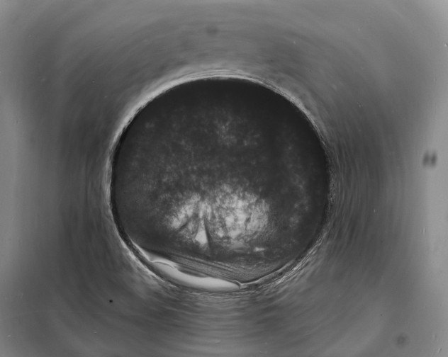 X0000098231508200805151328