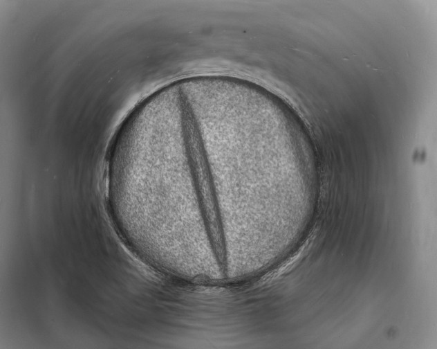 X0000098231509200805151328