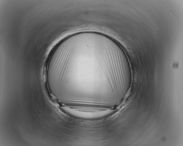 X0000098231510200805151328