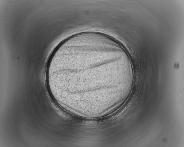 X0000098231511200805151328