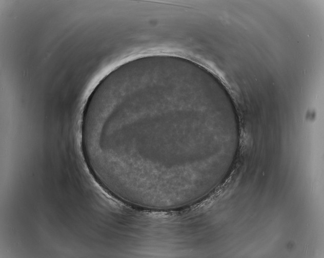 X0000098231512200805151328