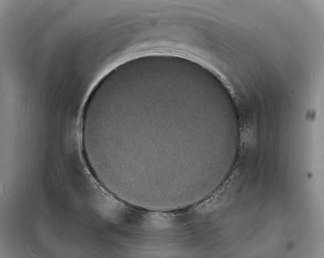 X0000098231514200805151328