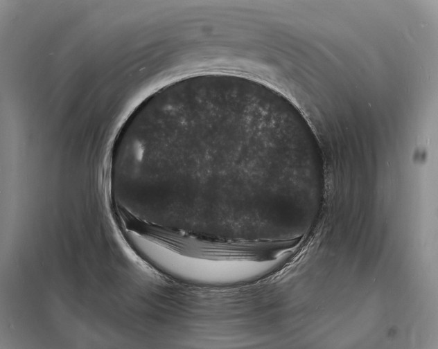 X0000098231515200805151328