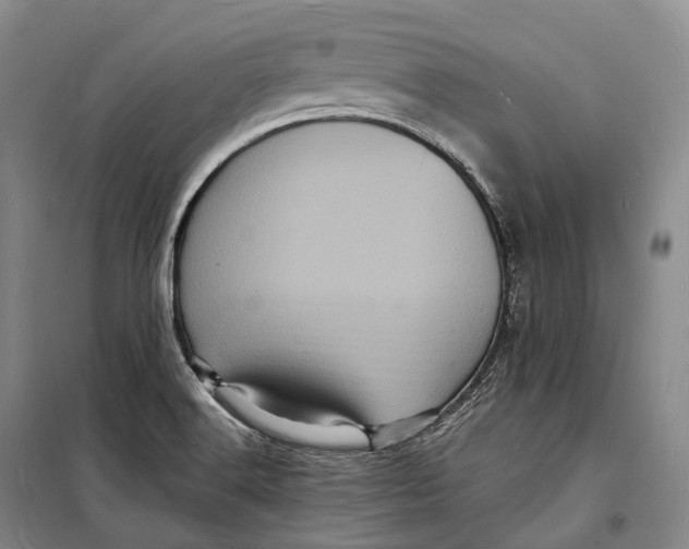 X0000098231516200805151328