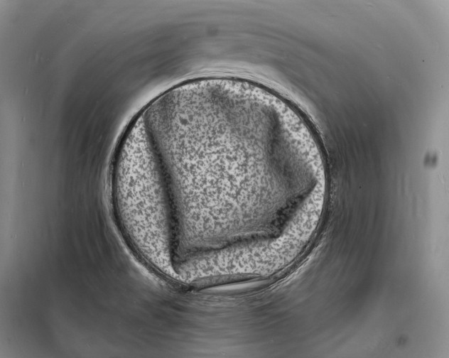 X0000098231517200805151328