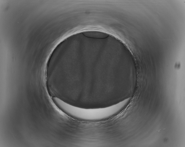 X0000098231519200805151328