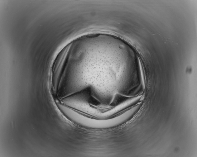 X0000098231520200805151328