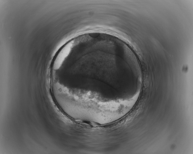 X0000098231522200805151328