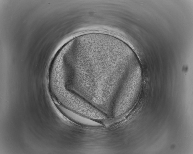 X0000098231523200805151328