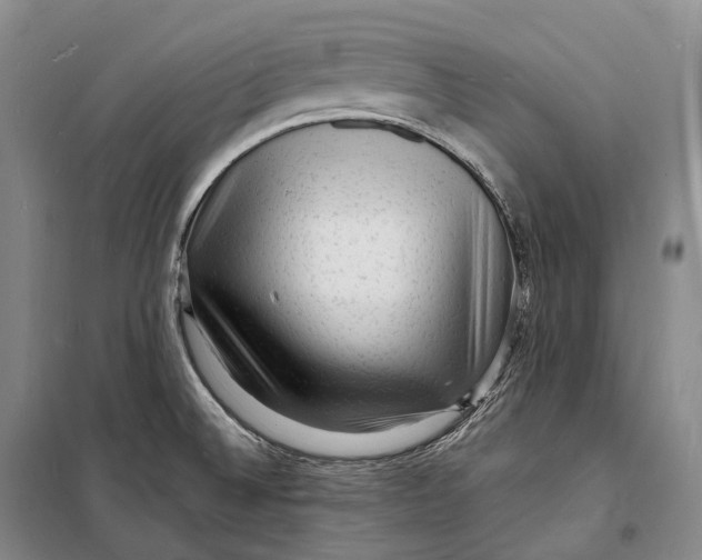 X0000098231524200805151328