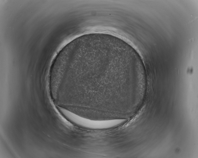 X0000098231525200805151328