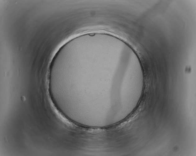 X0000098231526200805151328